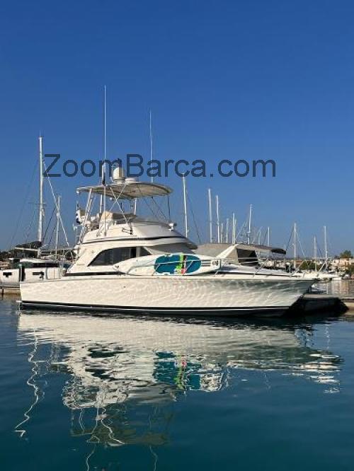 Bertram 36 scheda tecnica e recensioni